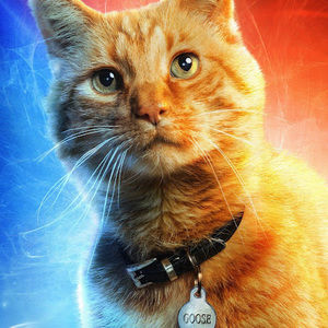 Meet your Posher, Maung